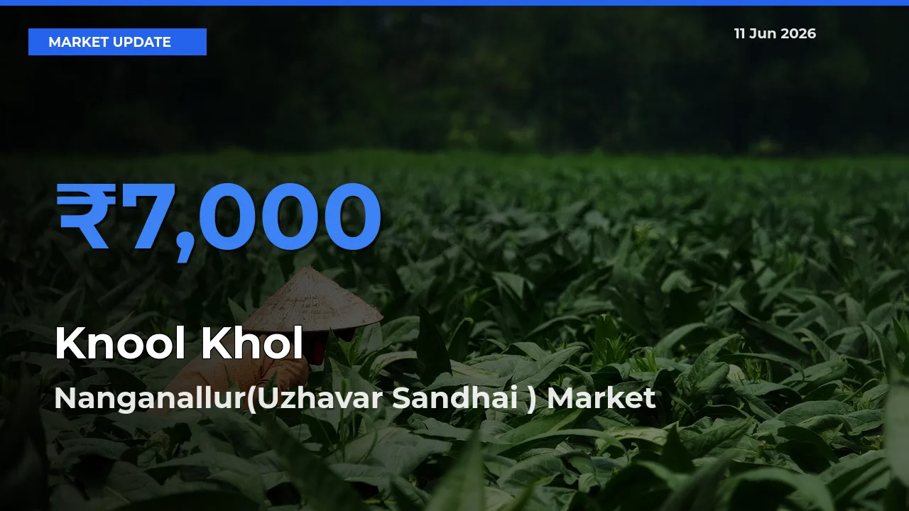 Top Performer! Nanganallur(Uzhavar Sandhai ) Offers Best Knool Khol Price Today