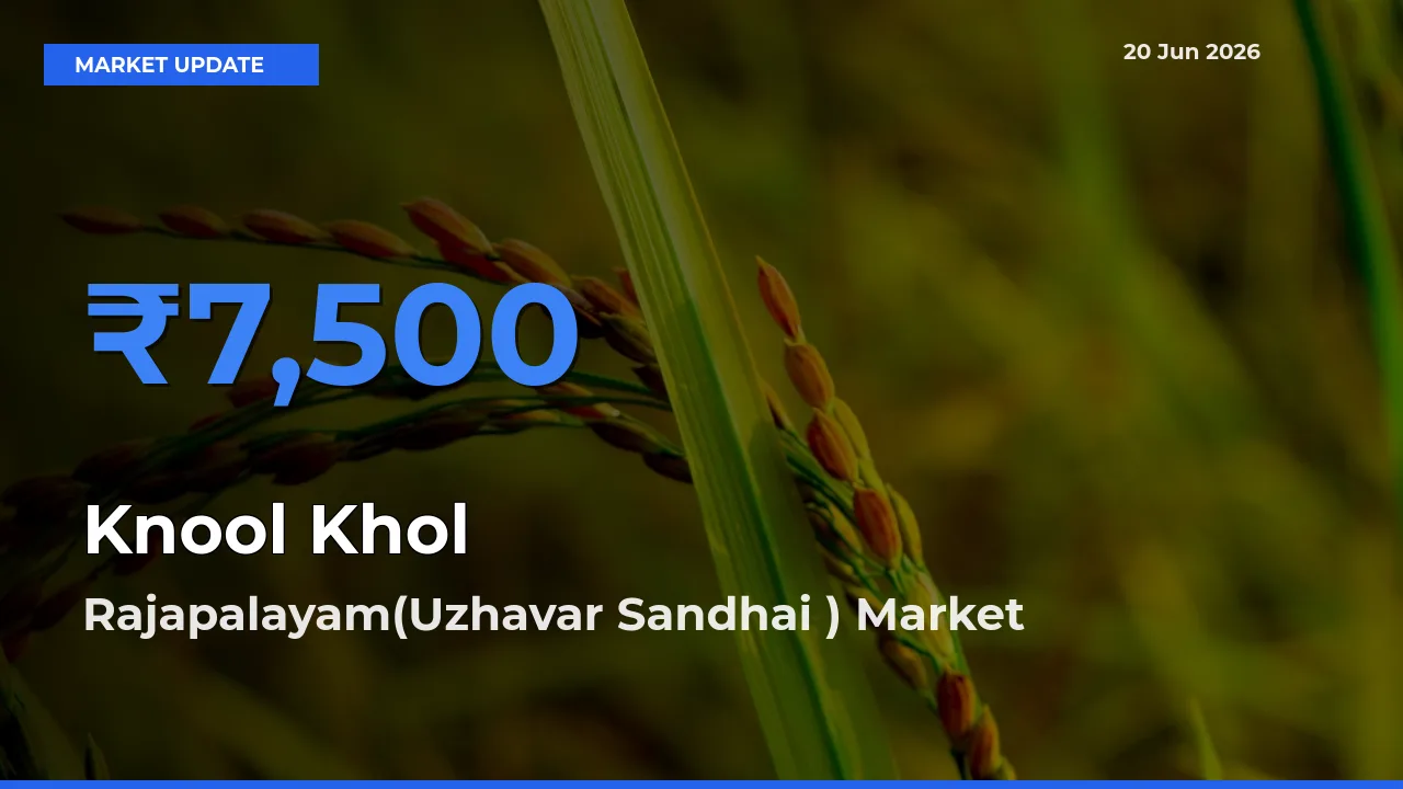 Farmers Prefer Rajapalayam(Uzhavar Sandhai ) as Knool Khol Hits Highest Rate