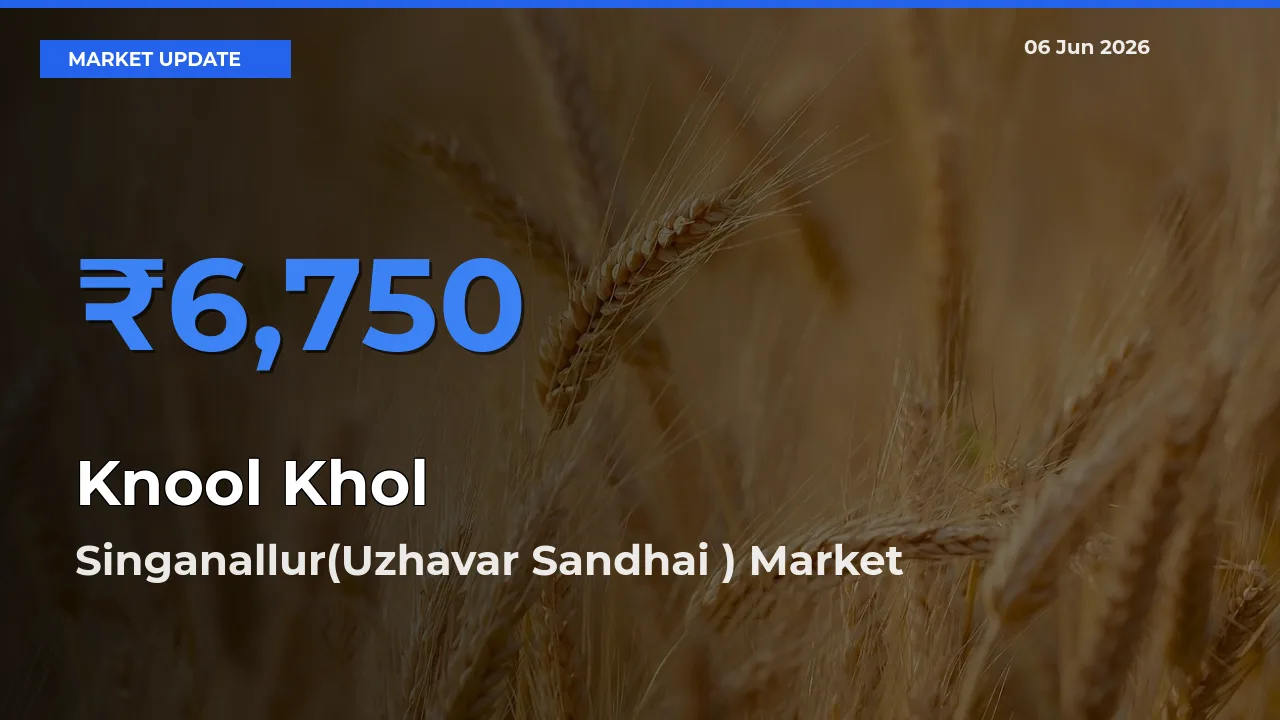 Singanallur(Uzhavar Sandhai ) Tops Knool Khol Rates – June 06 Market Update