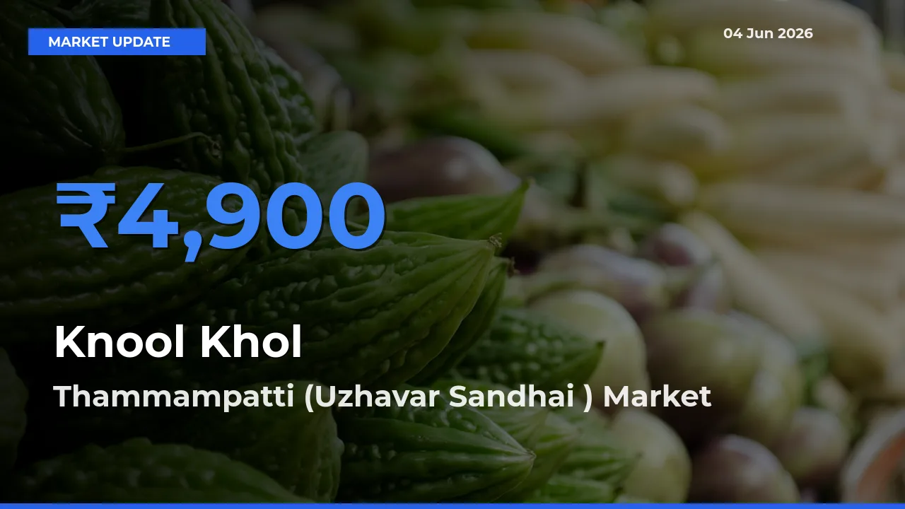 Farmers Prefer Thammampatti (Uzhavar Sandhai ) as Knool Khol Hits Highest Rate