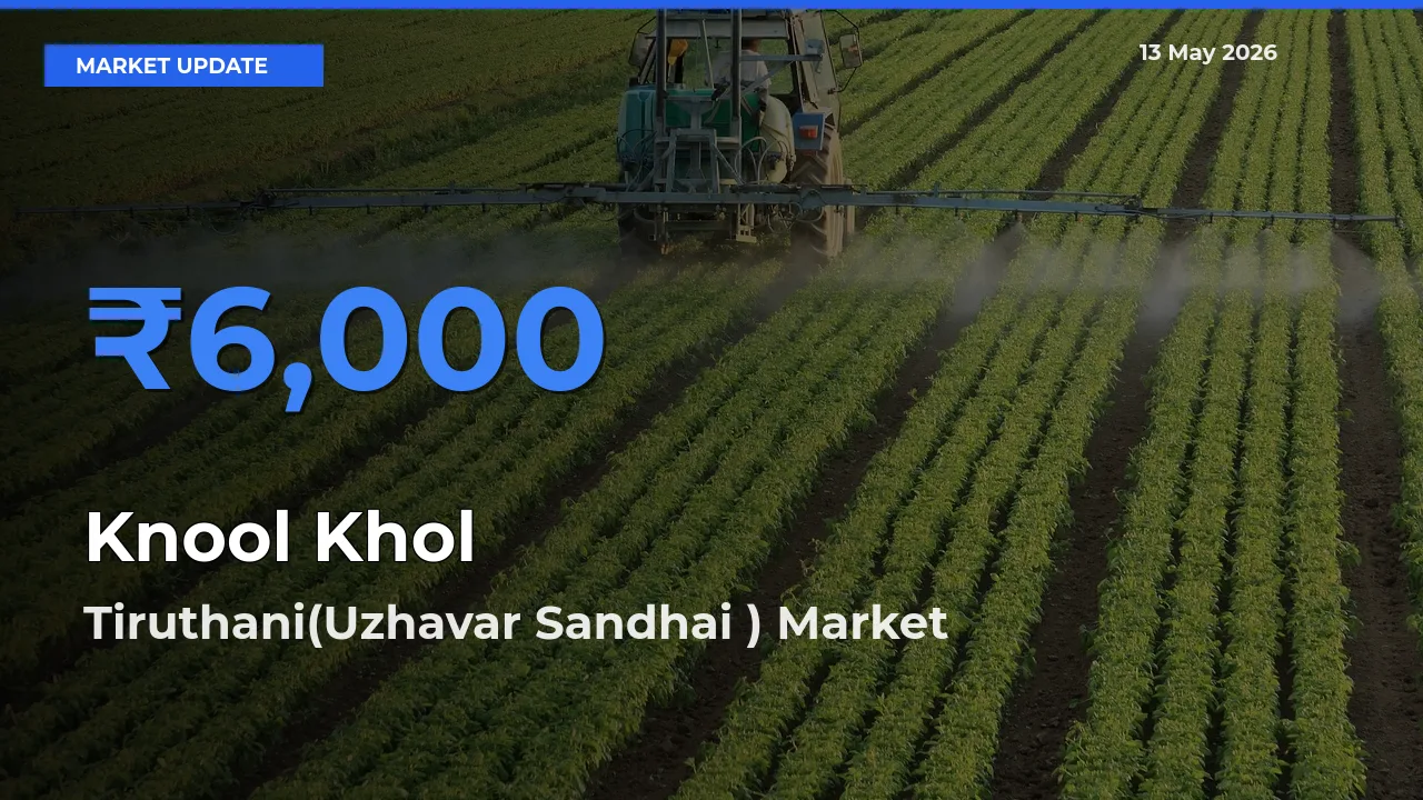 Tiruthani(Uzhavar Sandhai ) Emerges as Top Mandi for Knool Khol Prices Today