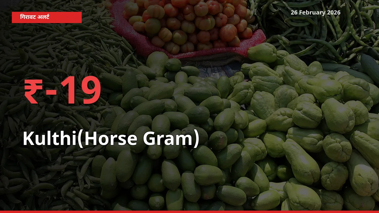 Kulthi(Horse Gram) के दाम प्रमुख मंडी में 19.09% गिरे, 24 घंटे में बड़ा बदलाव