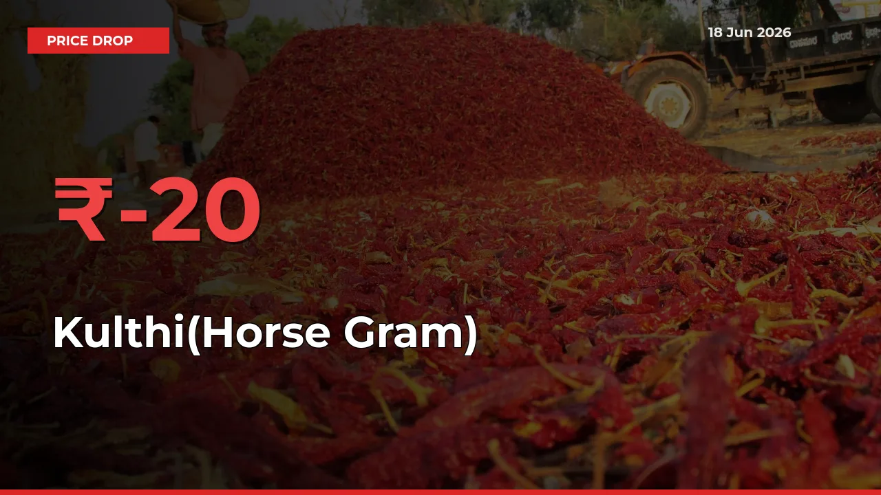 20.21% Drop in Kulthi(Horse Gram) Prices – Mandi Sees Sudden Fall