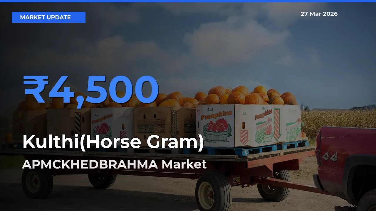 APMCKHEDBRAHMA Emerges as Top Mandi for Kulthi(Horse Gram) Prices Today