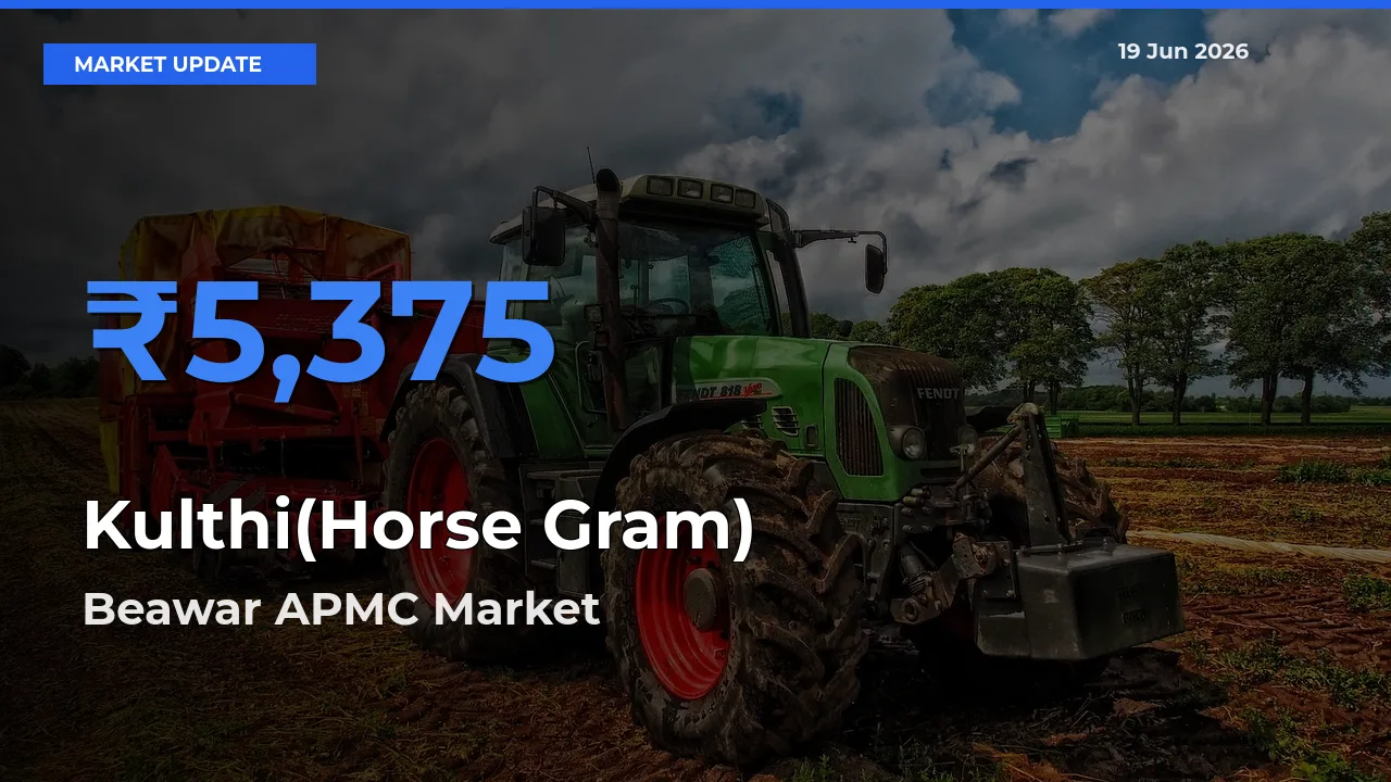 Kulthi(Horse Gram) Mandi Rate Today: Beawar APMC Tops the List