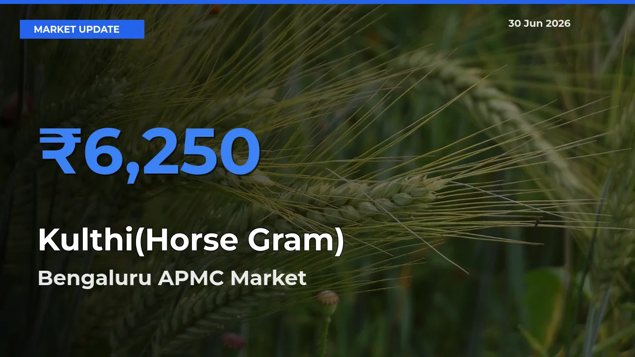 Bengaluru APMC Emerges as Top Mandi for Kulthi(Horse Gram) Prices Today