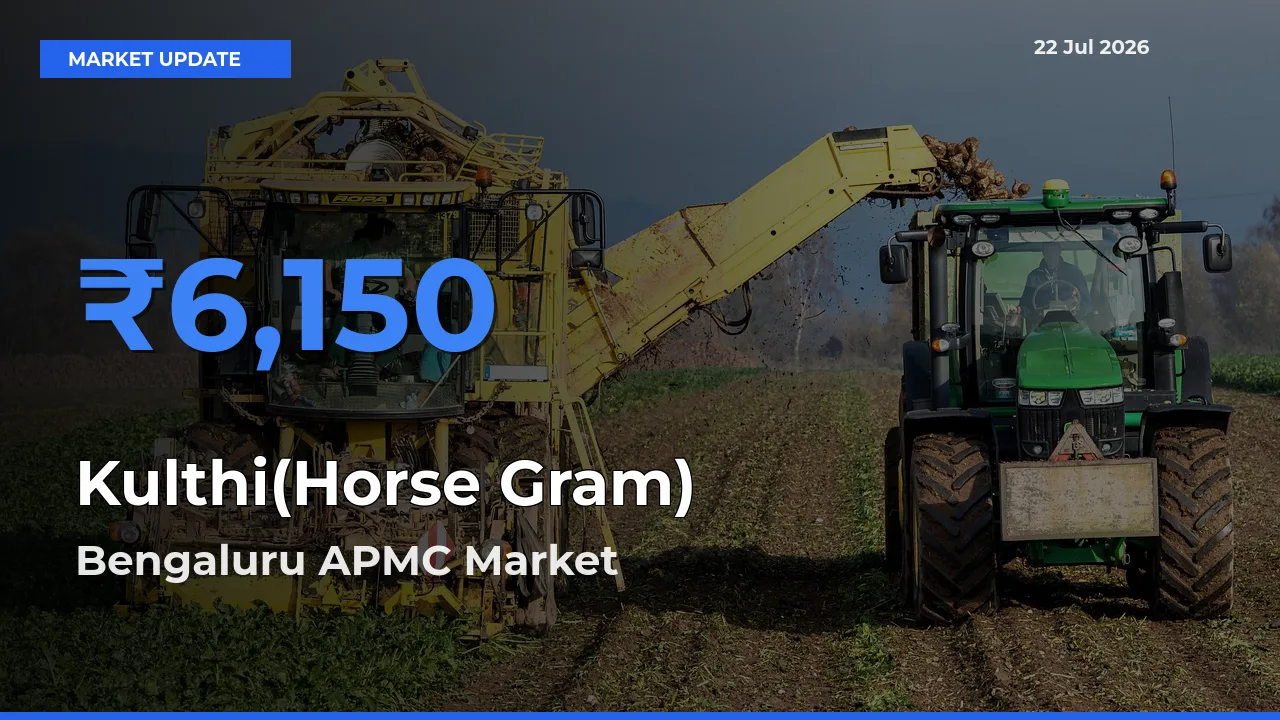 Bengaluru APMC Leads as Top Mandi for Kulthi(Horse Gram) Prices