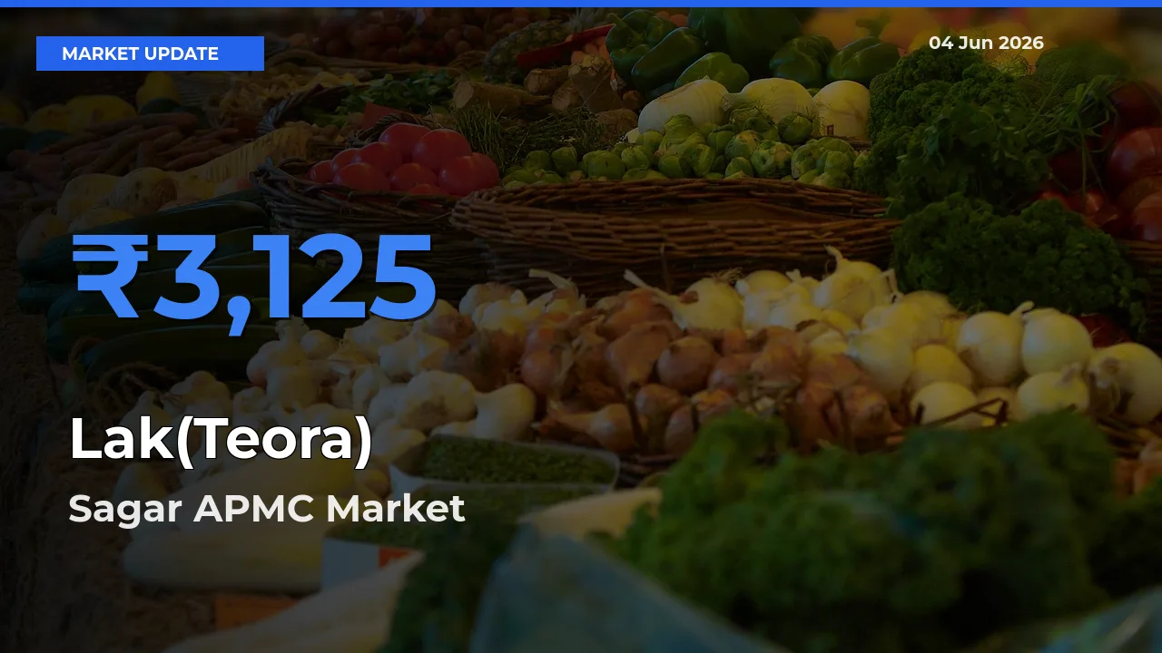 Sagar APMC Records Highest ₹3,125 Rate for Lak(Teora)