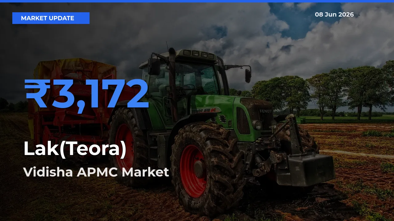 Vidisha APMC Tops Lak(Teora) Rates – June 08 Market Update