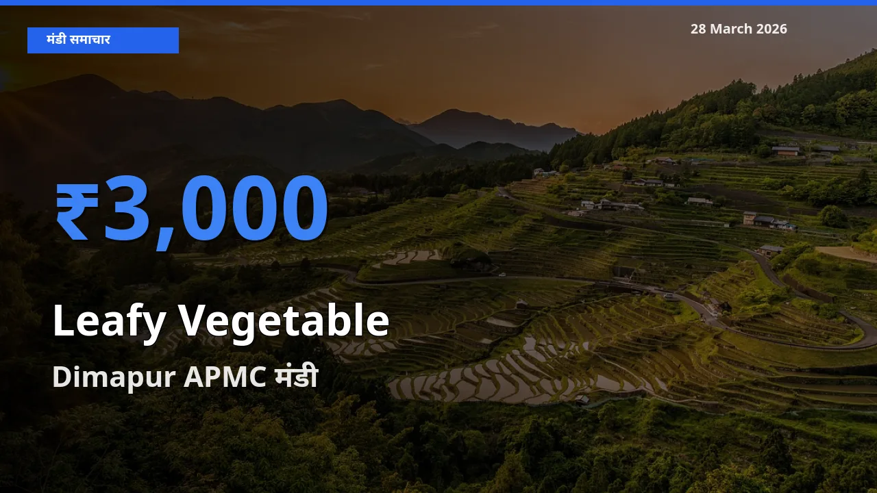 आज पत्तेदार सब्जी के सबसे ज़्यादा दाम Dimapur APMC मंडी में दर्ज