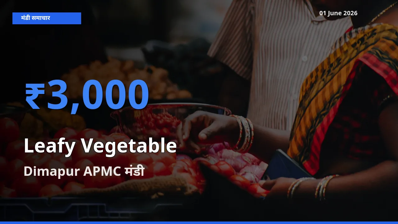 आज पत्तेदार सब्जी के सबसे ज़्यादा दाम Dimapur APMC मंडी में दर्ज