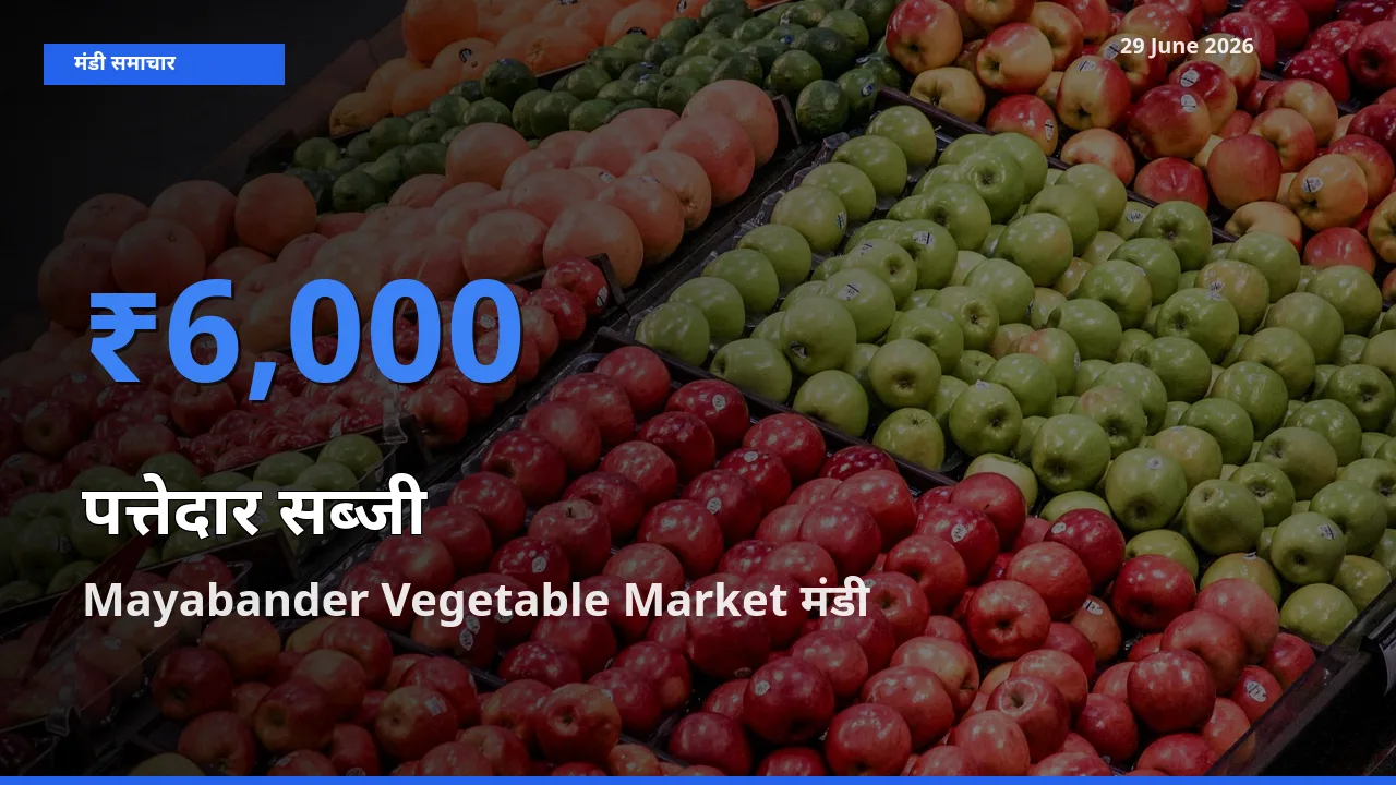 किसानों की पसंद बना Mayabander Vegetable Market, पत्तेदार सब्जी के सबसे अच्छे दाम