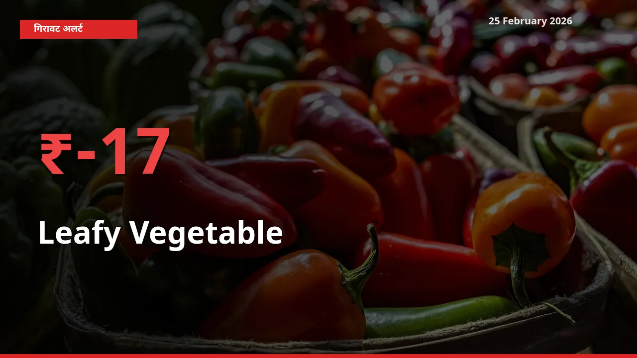 स्थानीय मंडी में Leafy Vegetable के दाम अचानक 17.39% गिरे, किसानों की चिंता बढ़ी