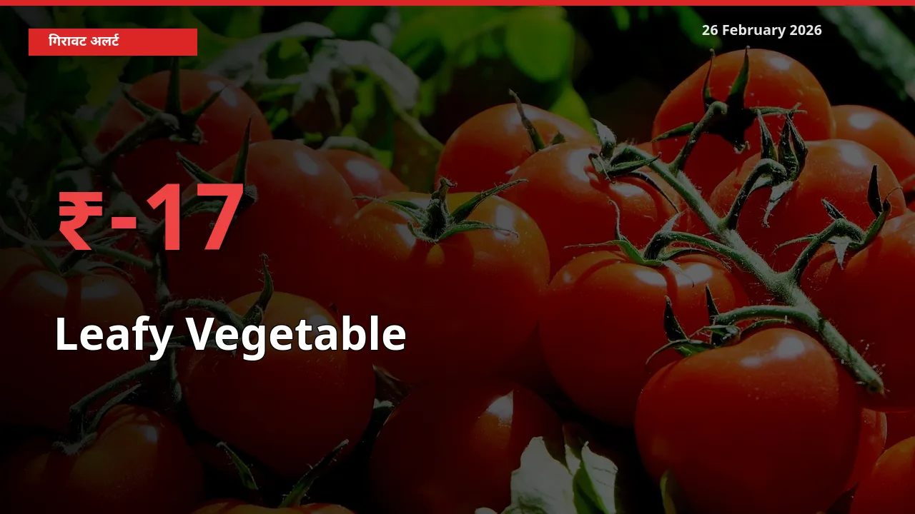 17.36% की गिरावट! मंडी में Leafy Vegetable के दाम अचानक टूटे