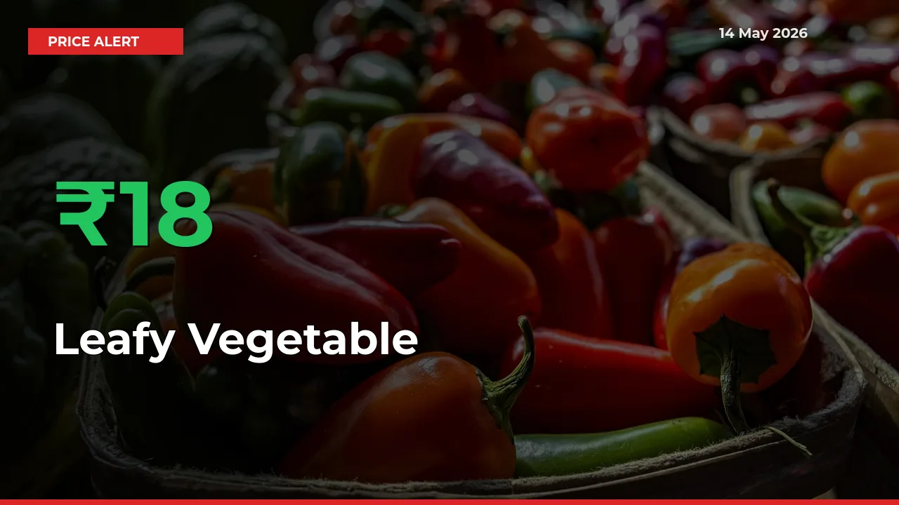 Farmers Cheer as Leafy Vegetable Prices Surge 17.56% in Local Mandis