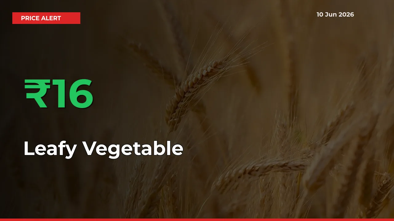 Why Leafy Vegetable Prices Rose 15.74% in a Day at Mandis