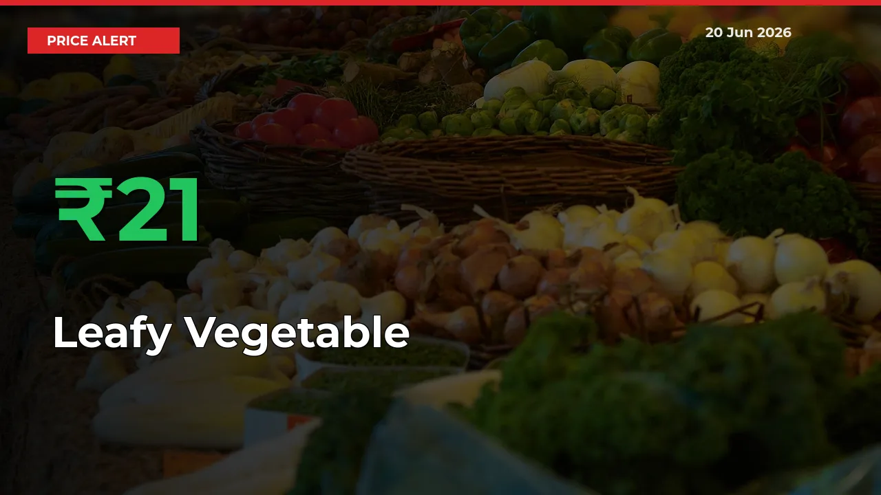 Sudden 20.97% Rally in Leafy Vegetable Prices Across Mandis