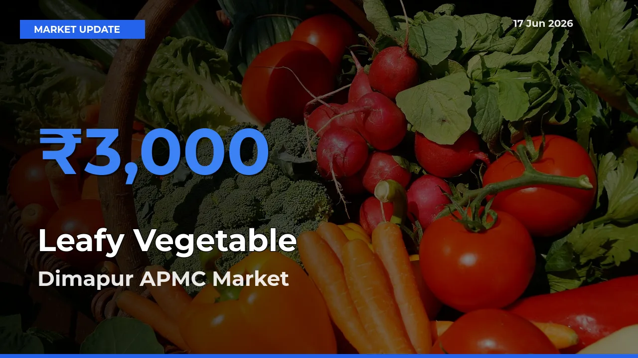 Dimapur APMC Tops Leafy Vegetable Mandi Rates Today