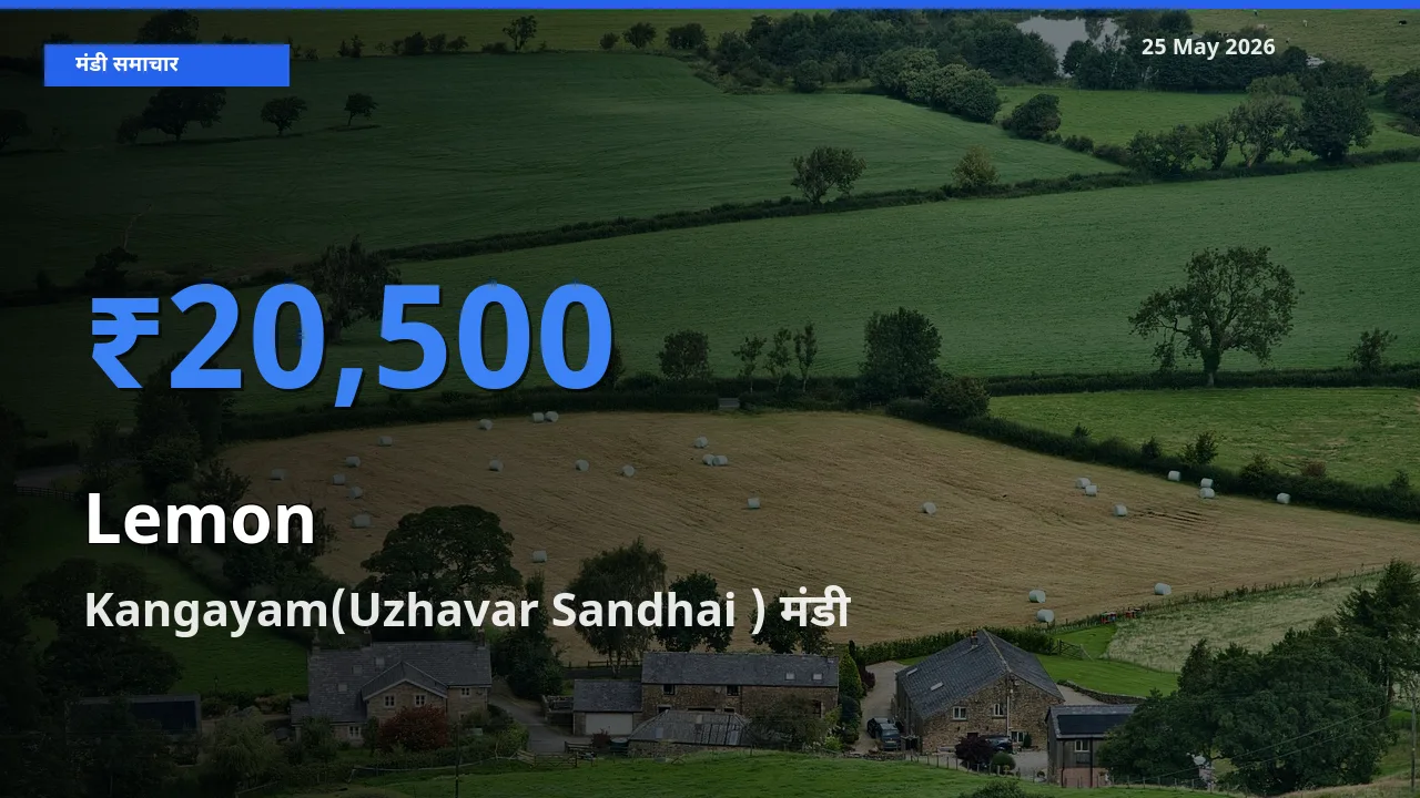 25 May अपडेट: नींबू के सबसे ऊँचे दाम Kangayam(Uzhavar Sandhai ) मंडी में