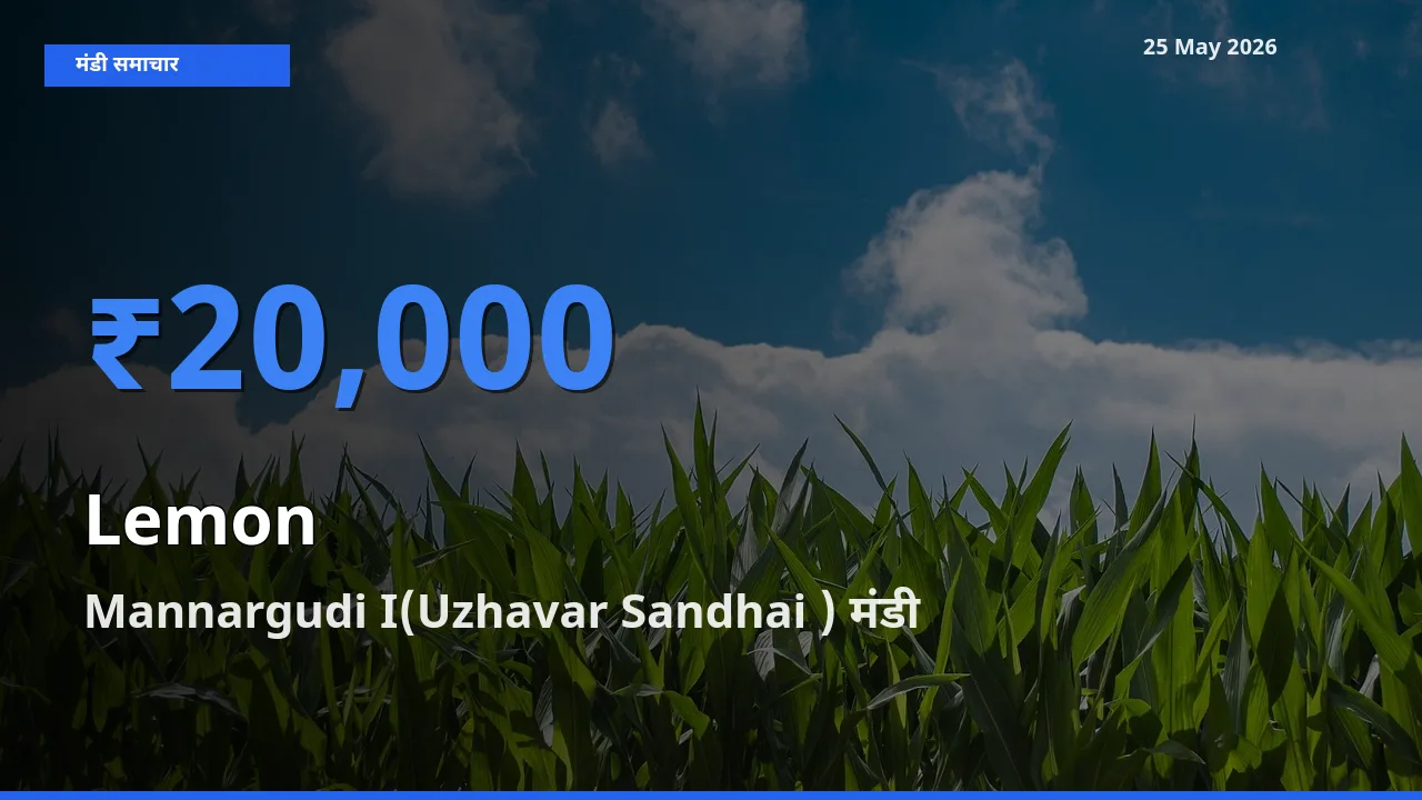 25 May अपडेट: नींबू के सबसे ऊँचे दाम Mannargudi I(Uzhavar Sandhai ) मंडी में