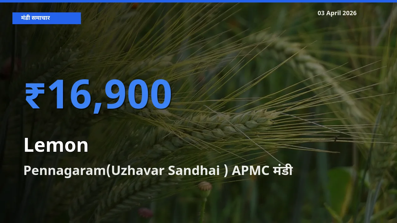 Pennagaram(Uzhavar Sandhai ) APMC में नींबू का आज सबसे ऊँचा भाव