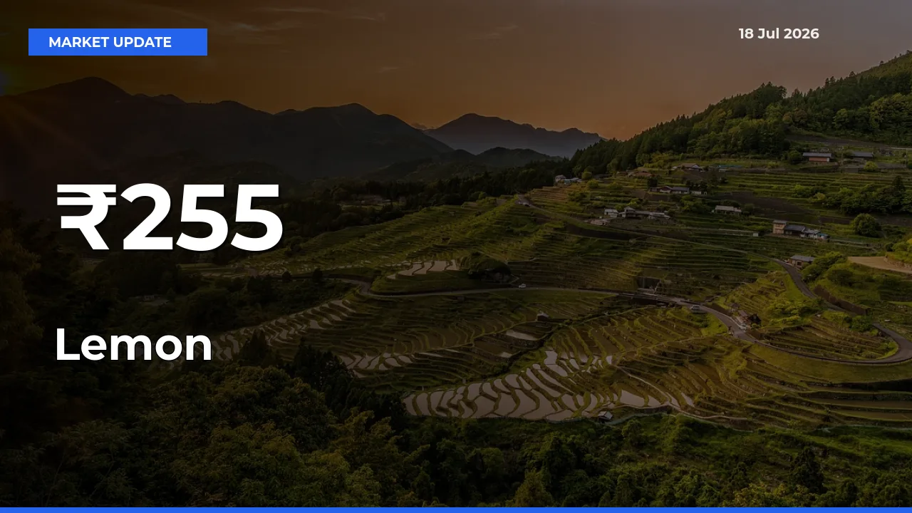 Lemon Prices Gain Momentum Across 255+ Mandis – Market Trend Strengthens