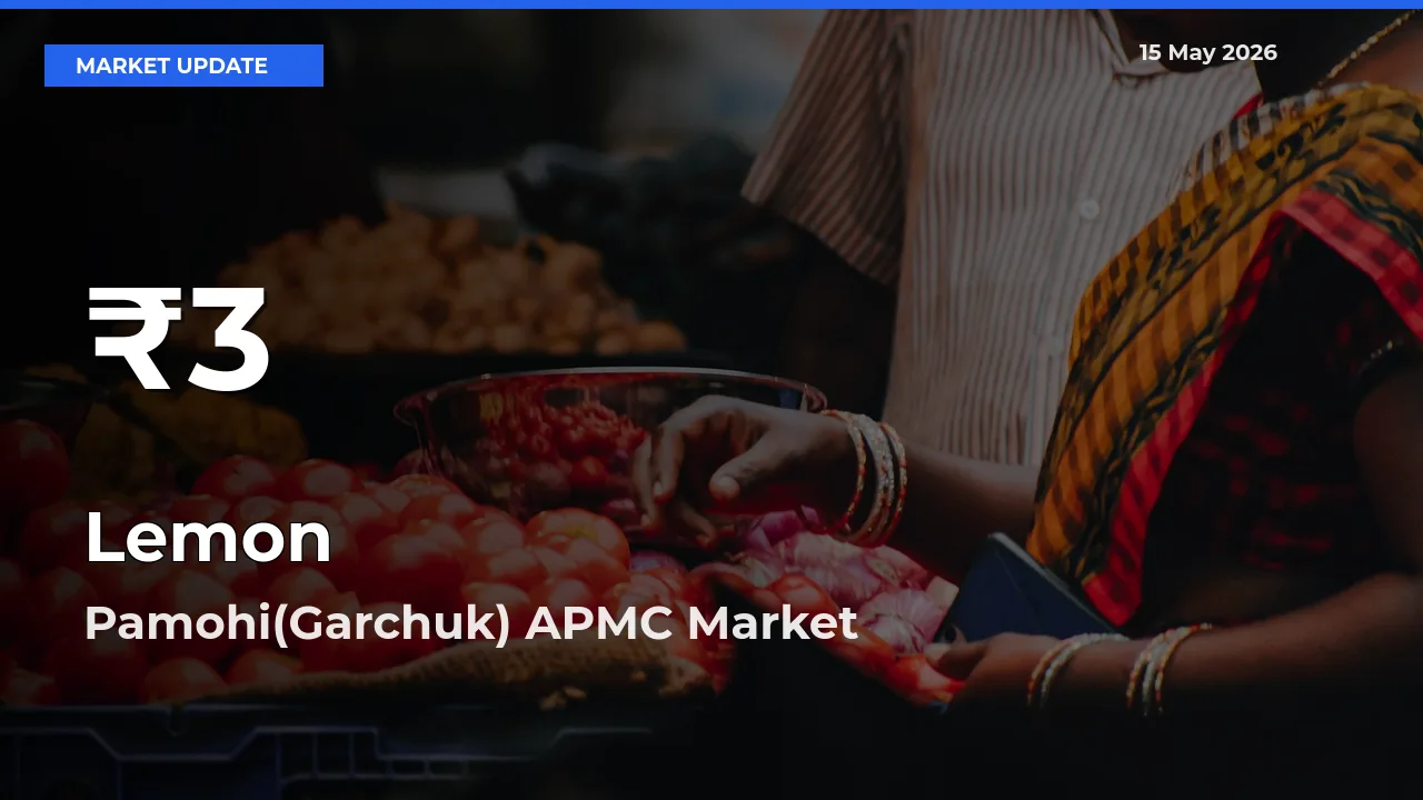 Lemon Mandi Rate Today: 30-Day Low Recorded in Pamohi(Garchuk) APMC