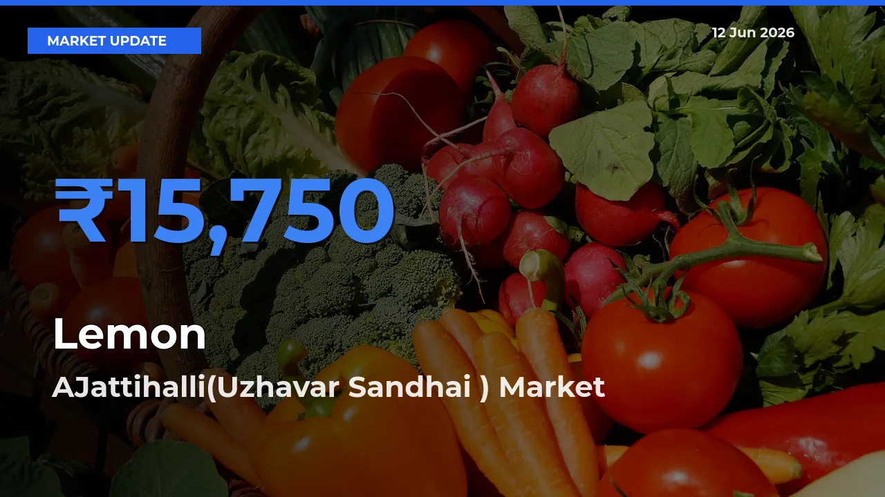 Lemon Mandi Rate Today: AJattihalli(Uzhavar Sandhai ) Tops the List