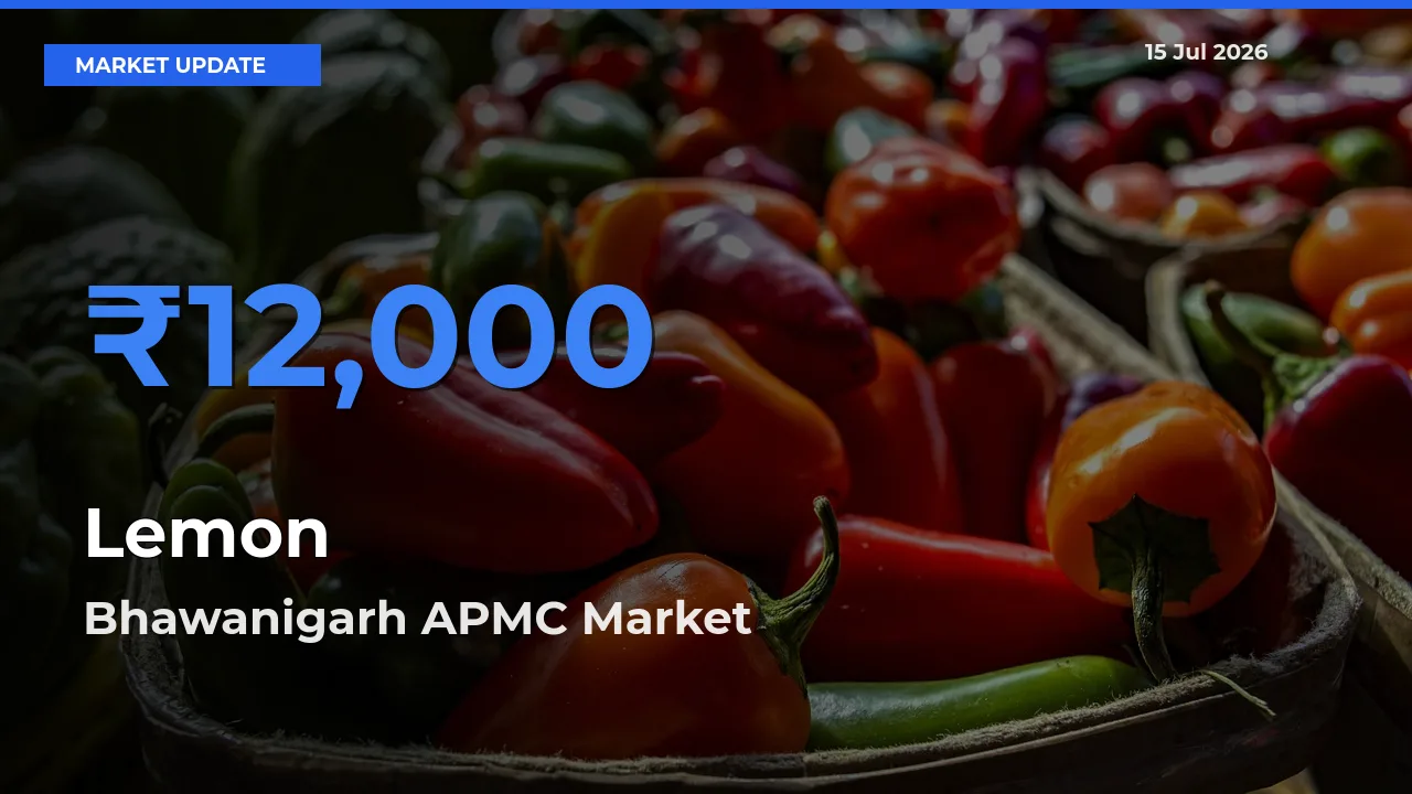 Bhawanigarh APMC Emerges as Top Mandi for Lemon Prices Today