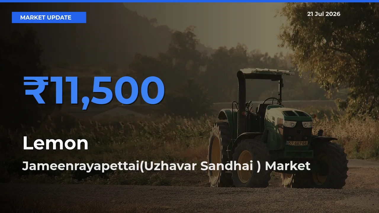 Market Watch: Jameenrayapettai(Uzhavar Sandhai ) Becomes Top Mandi for Lemon