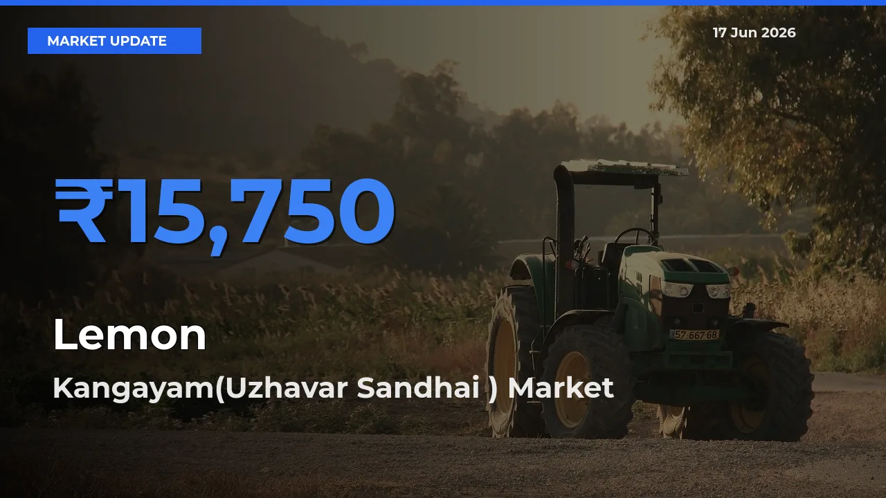 Kangayam(Uzhavar Sandhai ) Tops Lemon Rates – June 17 Market Update