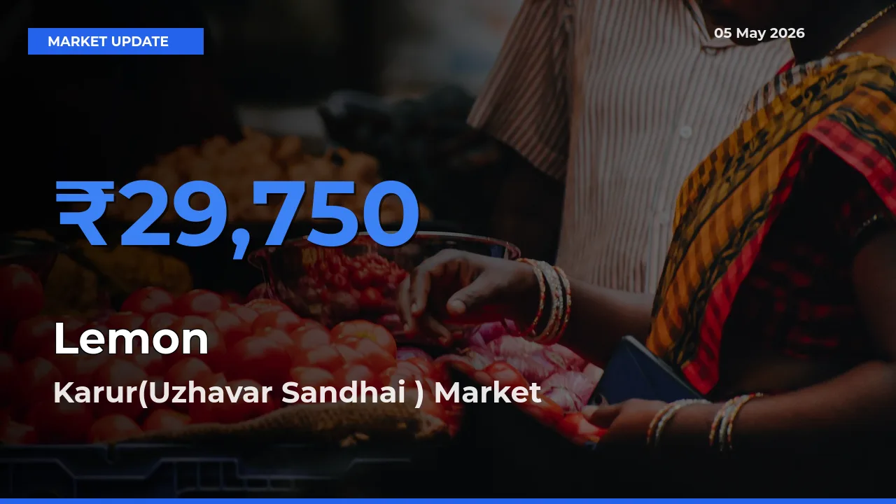 Lemon Mandi Rate Today: Karur(Uzhavar Sandhai ) Tops the List