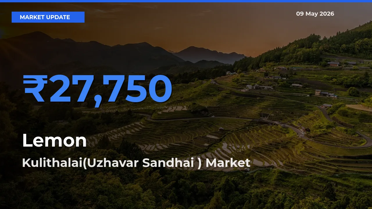 Kulithalai(Uzhavar Sandhai ) Tops Lemon Rates – May 09 Market Update