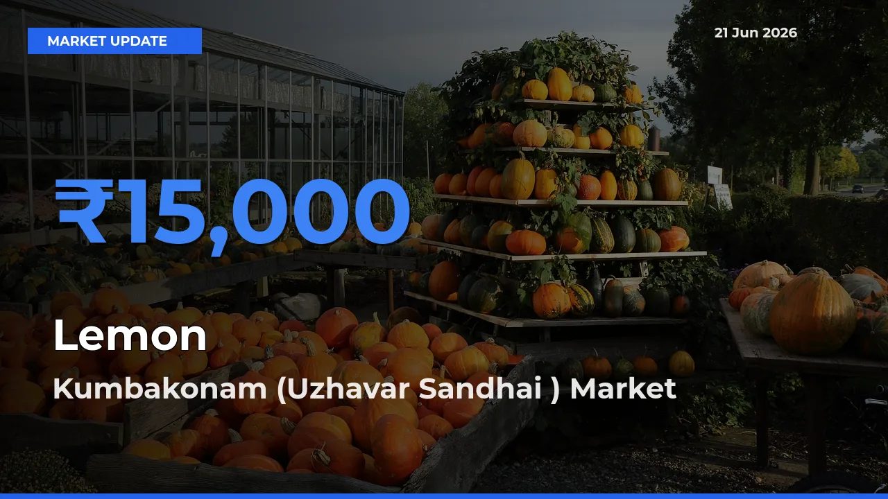 Kumbakonam (Uzhavar Sandhai ) Offers ₹15,000 – Highest Lemon Rate Today