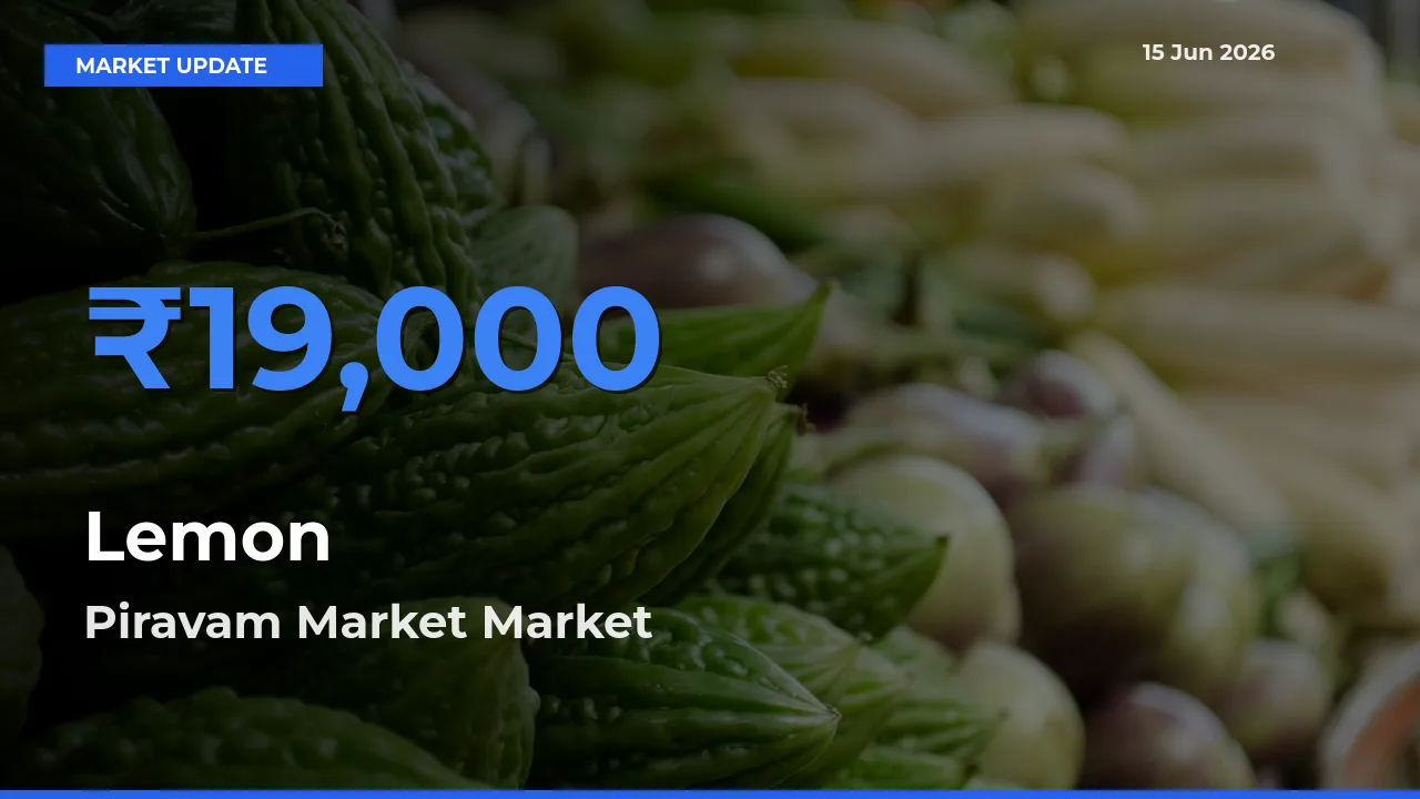 Market Watch: Piravam Market Becomes Top Mandi for Lemon