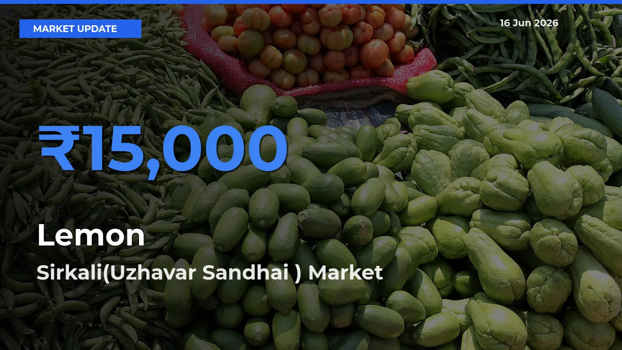 Sirkali(Uzhavar Sandhai ) Emerges as Top Mandi for Lemon Prices Today