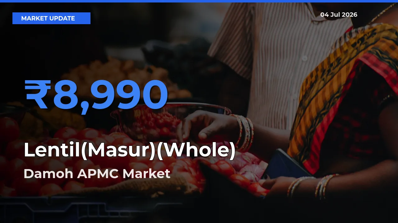 Damoh APMC Emerges as Top Mandi for Lentil(Masur)(Whole) Prices Today