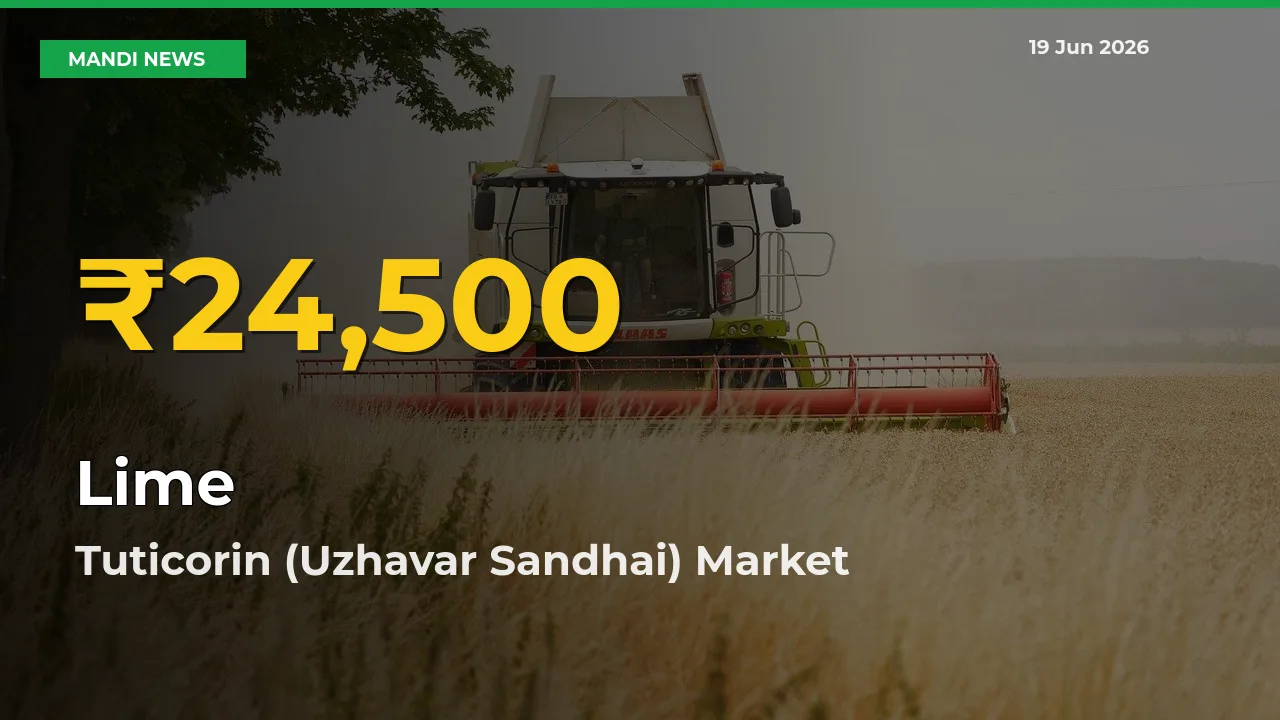 Lime Prices Soar to Record High in Tuticorin (Uzhavar Sandhai) – Farmers Alert Today
