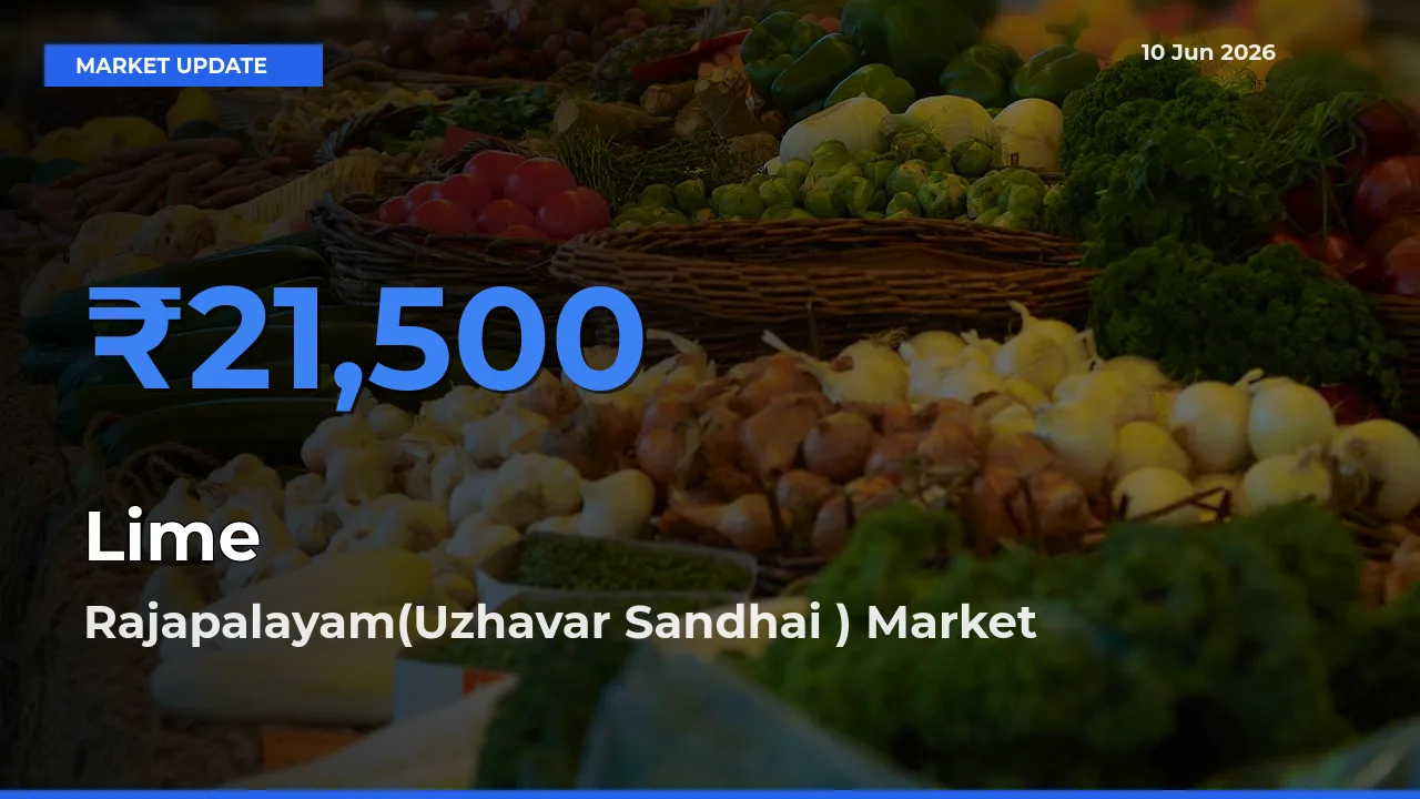 Lime Mandi Rate Today: Rajapalayam(Uzhavar Sandhai ) Tops the List