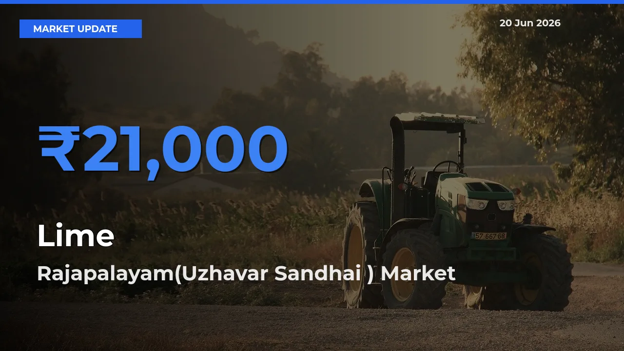 Farmers Prefer Rajapalayam(Uzhavar Sandhai ) as Lime Hits Highest Rate