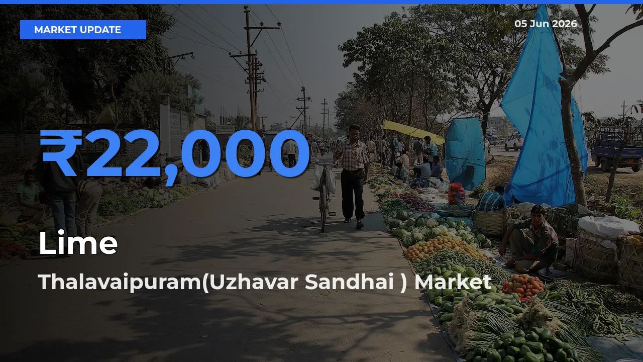 Farmers Prefer Thalavaipuram(Uzhavar Sandhai ) as Lime Hits Highest Rate