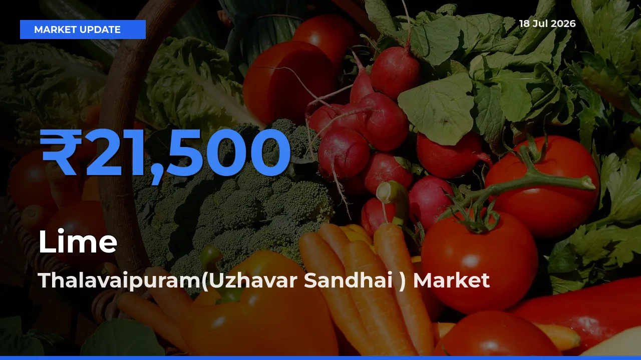 Lime Mandi Rate Today: Thalavaipuram(Uzhavar Sandhai ) Tops the List