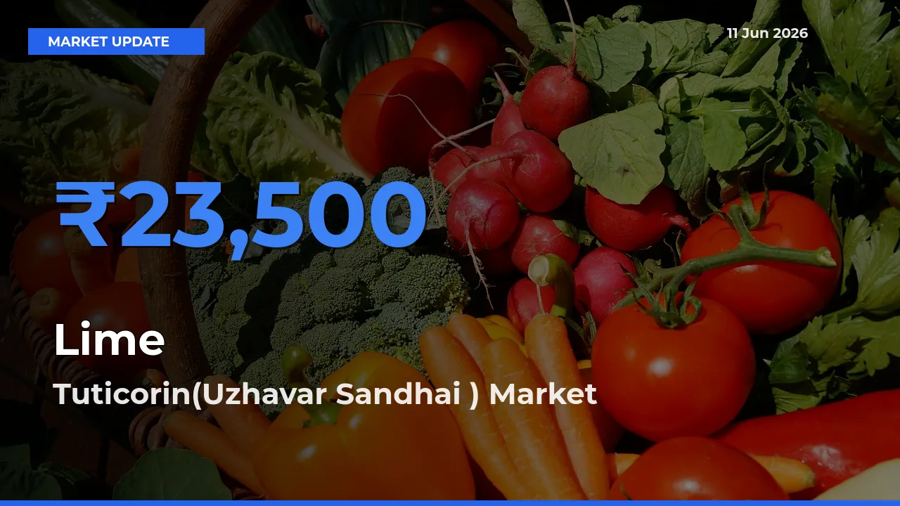 Market Watch: Tuticorin(Uzhavar Sandhai ) Becomes Top Mandi for Lime