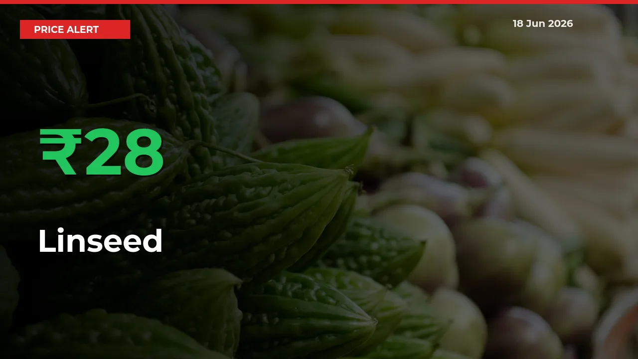 Sharp Jump! Linseed Prices Climb 28.09% in 24 Hours at Key Mandis