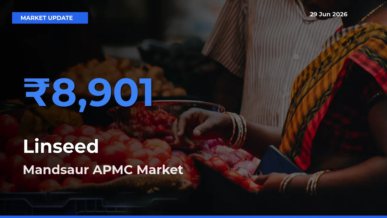 Mandsaur APMC Offers ₹8,901 – Highest Linseed Rate Today