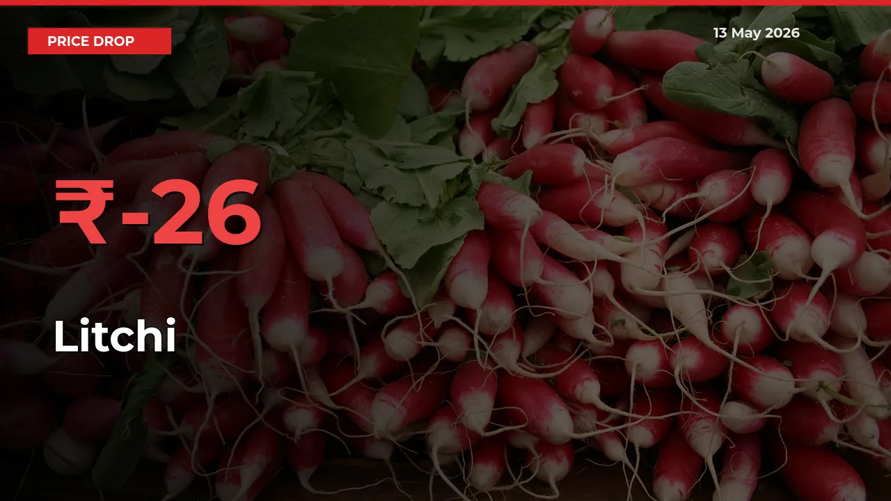25.75% Drop in Litchi Prices – Mandi Sees Sudden Fall