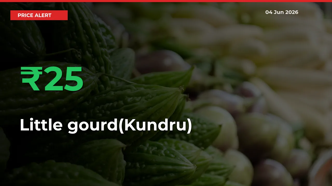 Big Rally! Little gourd(Kundru) Climbs 25.39% in 24 Hours at Top Mandis