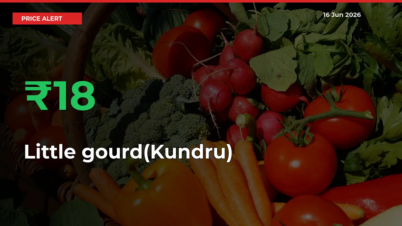 Little gourd(Kundru) Mandi Rate Today: Prices Jump 18.12% at Market
