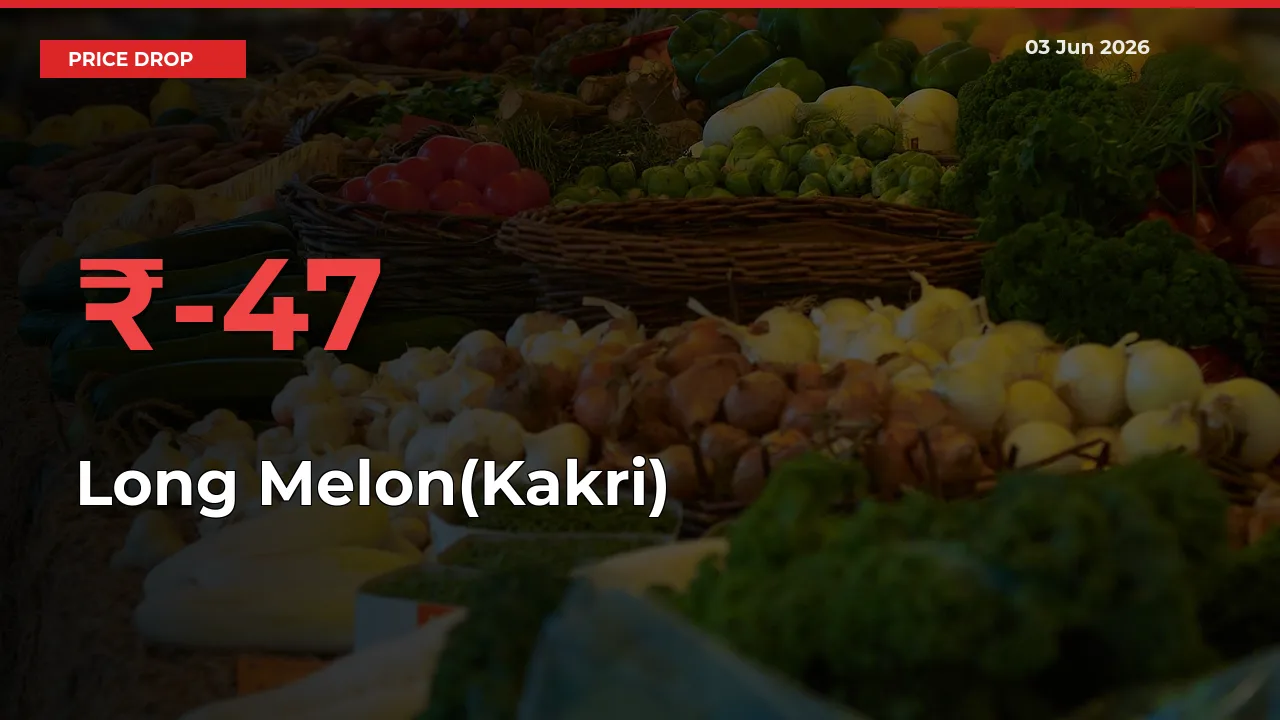 Long Melon(Kakri) Falls 47.23% at Mandis