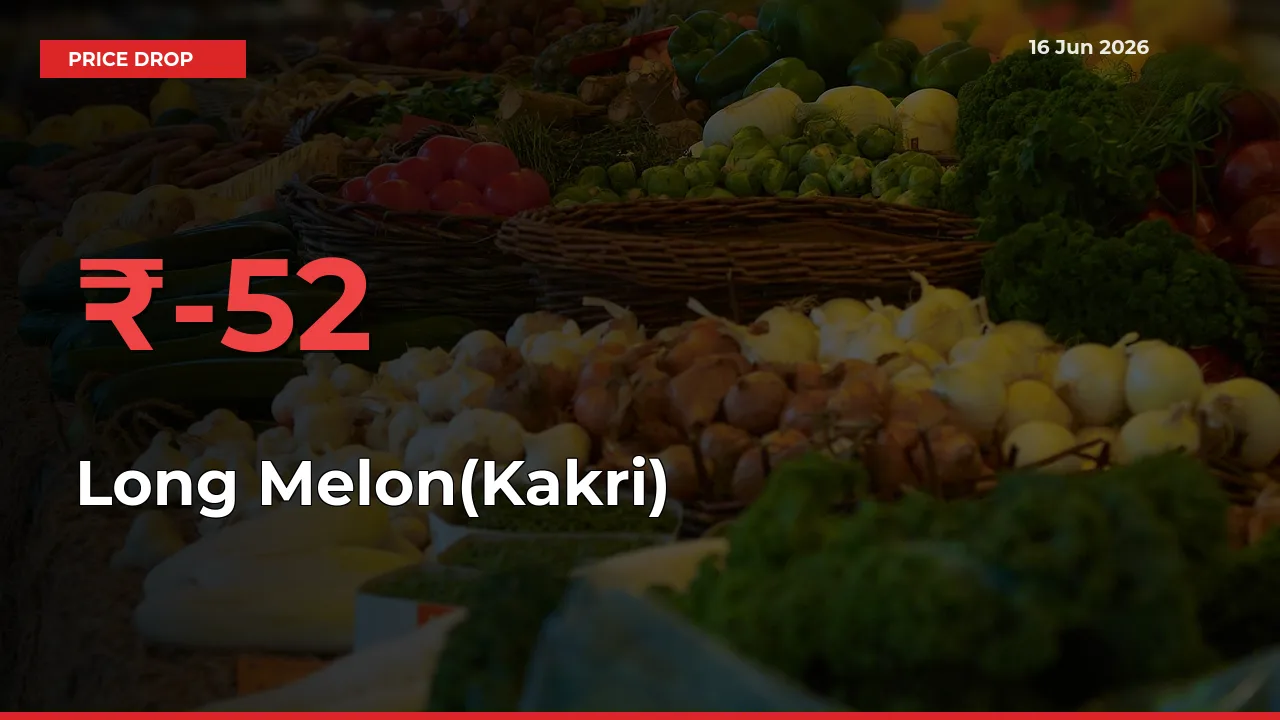 Why Long Melon(Kakri) Prices Fell 51.78% in a Day at Mandis